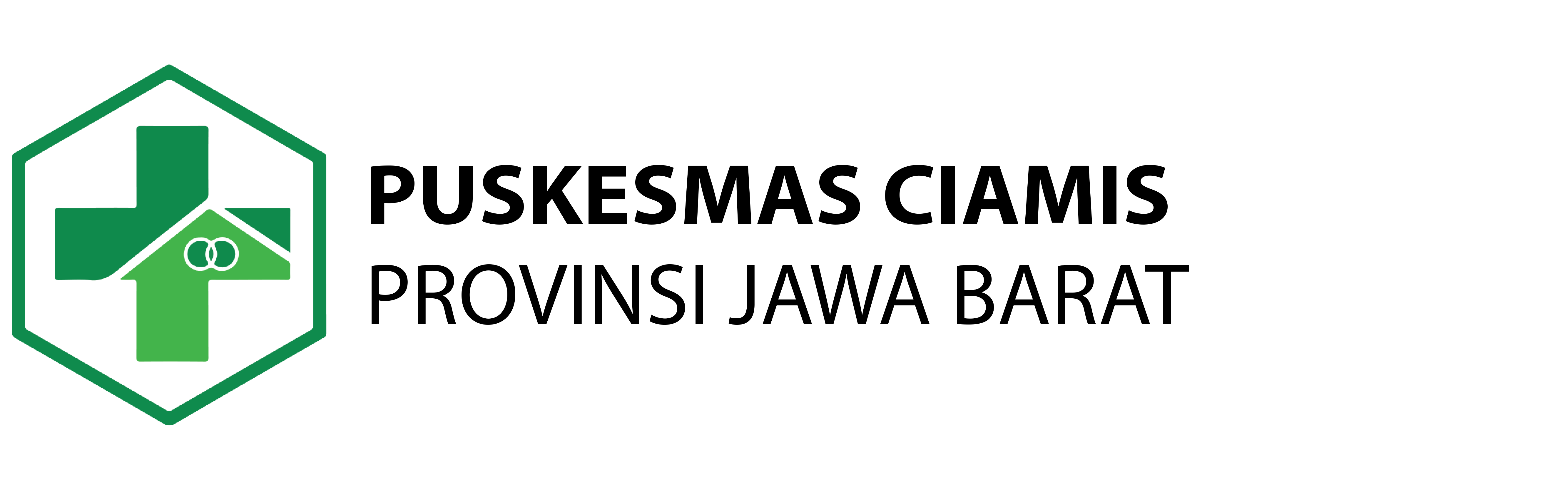 Logo Puskesmas